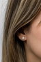 Heliophilia Silver Pendientes de Plata de Ley 925 con Oro Rosa y Circón